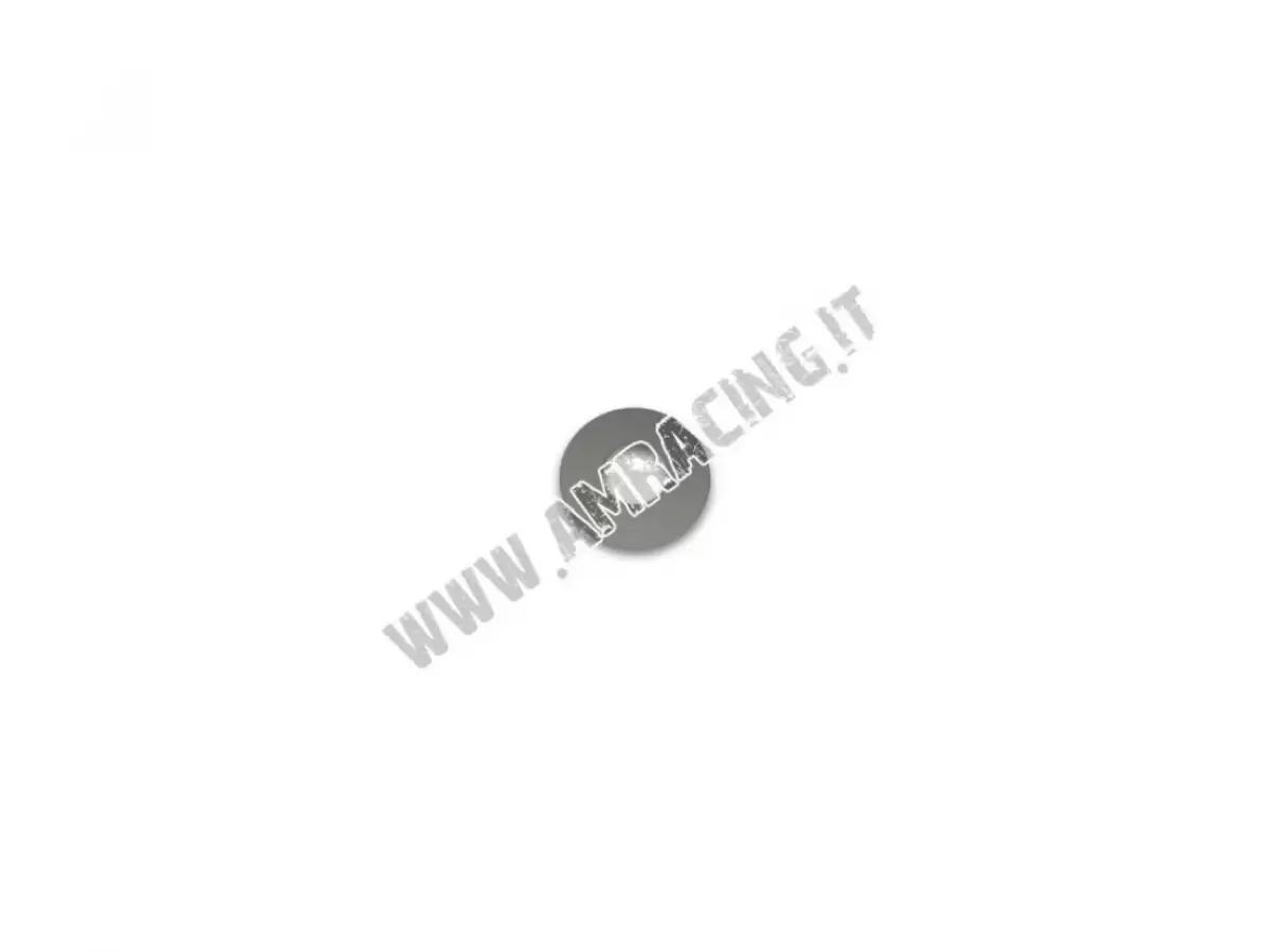 SLAT STEEL MONOSHOCK D.12 22-030